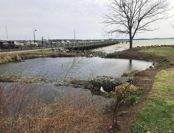 Concord Point Park Pond Retrofit