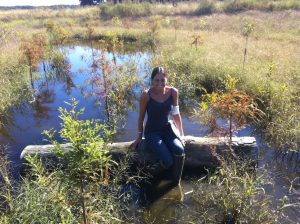 Sussex County Created Wetlands