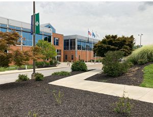 Stanton Campus Landscaping Improvements