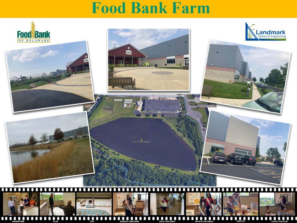 Photos of the Actual Food Bank Farm in Newark